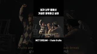 NCT DREAM  i hate fruits 가사번역해석lyrics [upl. by Ecinnaj]