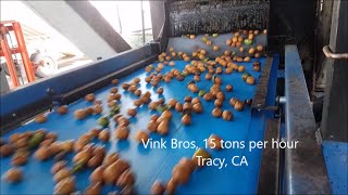 2015 Walnut Hulling Line Sorters [upl. by Arianne]