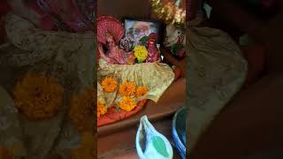 jay laddu gopal song love vakti giti [upl. by Michail]