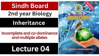 co  dominance  incomplete dominance  multiple alleles  class 12 biology Sindh board new book [upl. by Rust]