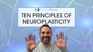 The Ten Principles Of Neuroplasticity Rehab  What you need to think about [upl. by Yelsa]