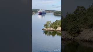 Viking Line  Cinderella meets Grace 🚢 🌊 cruise sailing ships interesting shortsviral [upl. by Rogerson]