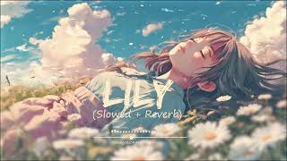 Alan Walker K 391 amp Emelie Hollow  Lily Slowed  Reverb  DANJEE SONGS [upl. by Law]