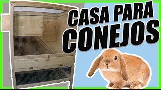 🐰Aprende cómo Crear CASA o JAULA para Tus CONEJOS [upl. by Ariay]