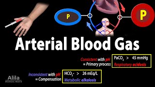 Arterial Blood Gas ABG Test Animation [upl. by Barina]