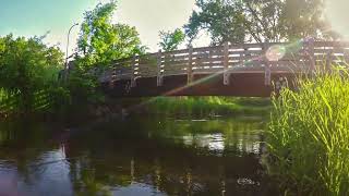 Minnehaha Creeks Underwater World [upl. by Santoro484]