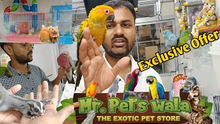 Mr pets wala shop visit conure handfeedingformula Mumbai [upl. by Lertnom]