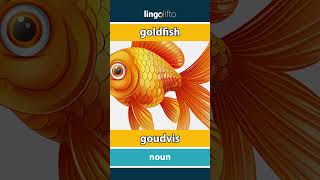 🇬🇧🇳🇱 goldfish  goudvis  vocabulary builder  learn English  laten we Engels leren [upl. by Ainotal]