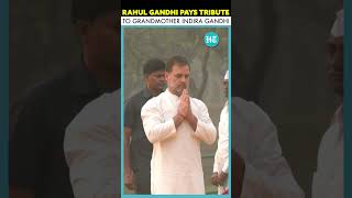 Rahul Gandhi Pays Tribute To Grandmother Indira Gandhi On Her Birth Anniversary [upl. by Lehcyar]