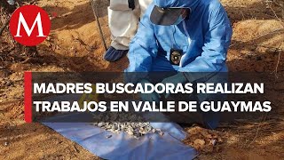 En Sonora colectivos realizan búsqueda de restos humanos [upl. by Amihsat861]