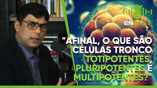 quotAFINAL O QUE SÃO CÉLULAS TRONCO TOTIPOTENTES PLURIPOTENTES E MULTIPOTENTESquot [upl. by Ahsienat]