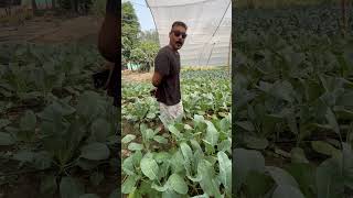 Be smart Do natural farming [upl. by Thema]