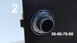 LA GARD Mechanical Lock 4Wheel  How to Change the Set Combination [upl. by Erdnaid932]