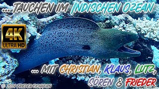 Tauchen im Indischen Ozean 🦞 🐟 🐠 [upl. by Ahsaeyt]