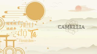 「Vietsub  Kara」Siêu Độ Ta  Floruit Show  “ 超度我  福禄寿 ” [upl. by Keg]