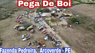 Pega De Boi No Mato Fazenda Pedreira Arcoverde  PE [upl. by Gensler]