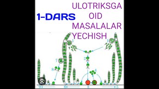 ULOTRIKSGA OID MASALALAR YECHISH 1DARS [upl. by Lluj]