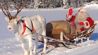 Santa Claus for kids 🦌🎅 Best reindeer rides of Father Christmas in Lapland part 2 [upl. by Tiffanle]