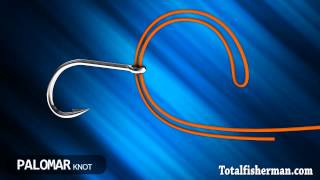 Best Fishing Knot [upl. by Hanover]