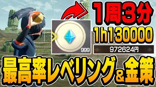 最効率！レベル上げと金策を同時にできる最強の周回方法について【ポケモンレジェンズアルセウス】 [upl. by Humfrey]