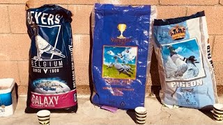 NEW BEYERS BELGIUM RACING PIGEON FEED Unboxing  Review Pigeon Taste Test [upl. by Innes]