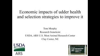 Economic Impacts of sheep udder health [upl. by Panchito457]