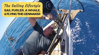 Sail Furling System a Whale and flying the Gennaker  Sailing Britican Channel Update [upl. by Cirdec]