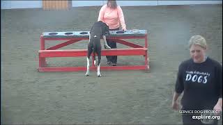 Arena Brekkies Poppins Lynn TracyO highlights end 552024 exploreorg [upl. by Imalda]