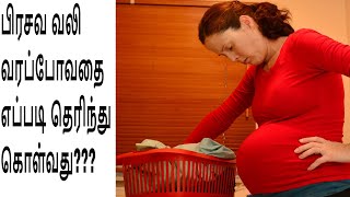 Prasava Vali SymptomsLabor Pain Symptoms before deliveryDelivery Pain Symptoms in Tamil [upl. by Beverly405]