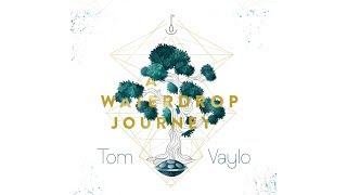 Tom Vaylo  A Waterdrop Journey  Handpan Full Album [upl. by O'Connell]