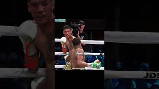 Ini adalah pukulan Overhand Terbaik di Boxing [upl. by Aliled721]