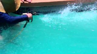 Clean Pool Tile Remove Scale And Calcium Buildup In Tucson 1 [upl. by Hailed725]