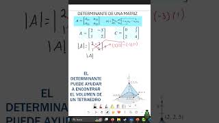 DETERMINANTE DE UNA MATRIZ 2X2 2 educación matemática [upl. by Satterfield760]