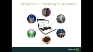 EBI Metagenomics analysing and exploring metagenomics data [upl. by Rumery]