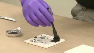 How to Process Latent Fingerprints Using Magnetic Powder [upl. by Eejan]