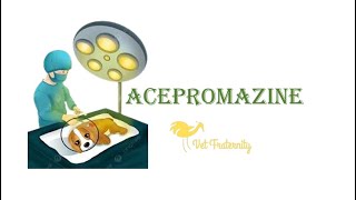 Acepromazine  Phenothiazine  Veterinary Anesthesia Part 7  BCSE subscribe viral trending like [upl. by Ping488]