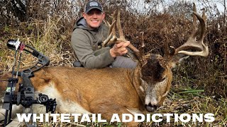 Four Year Quest For An Ohio Buck [upl. by Gylys]