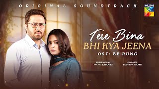 Tere Bina Bhi Kya Jeena  Be Rung OST ✩₊˚⋆  Singer  Wajhi Farooki   HUM TV [upl. by Hamehseer243]