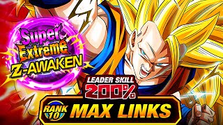 THE FIRST SUPER EZA IN DOKKAN HISTORY LEVEL 10 LINKS 100 AGL SSJ3 GOKU DBZ Dokkan Battle [upl. by Biancha]