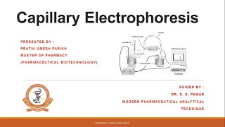 Capillary Electrophoresis [upl. by Rossing]