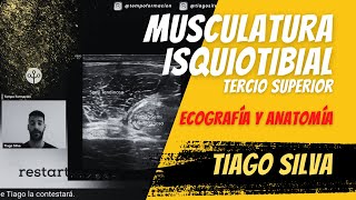 Musculatura isquiotibial tercio superior muslo  Ecografía y patología con Tiago Silva ecografia [upl. by Craner]