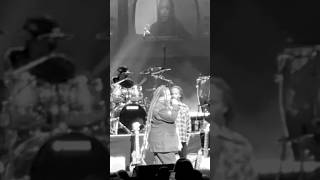 Stephen Marley crazy Vocals rock the crowd concert reggae livemusic [upl. by Annayat27]