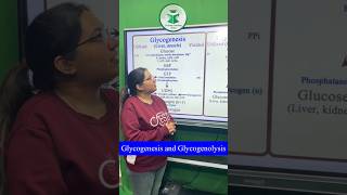 Glycogenesis and glycogenolysis For more details contact on 7814622609 or 8837686765 [upl. by Velleman]