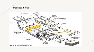 WORKING OF PHOTOCOPIER [upl. by Fasa]