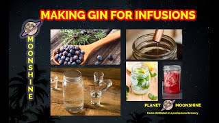 Easy Gin Recipe [upl. by Sitsuj237]