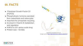 Learn FGF23 in 3 minutes  Fibroblast growth factor 23 [upl. by Anerhs]