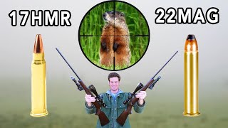 17HMR vs 22MAG Hunting [upl. by Bogoch736]