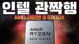 괴물이다 괴물 RYZEN 5900X 작업성능 벤치마크 AMD vs Intel [upl. by Guibert16]