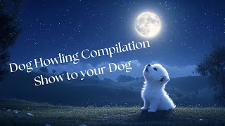 WARNING This Dog Howling Compilation Will Make Your Pet GO WILD [upl. by Llezom915]