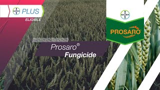 Prosaro® Fungicide [upl. by Meekah223]